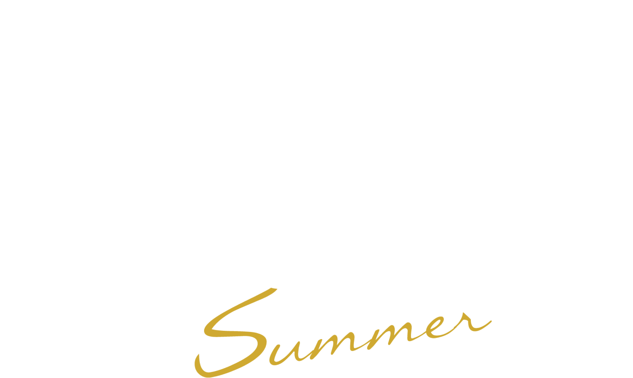 v~A 2025 Summer